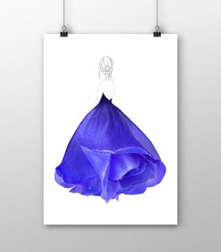 Постеры Синяя роза