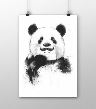 Постеры Панда-шутник