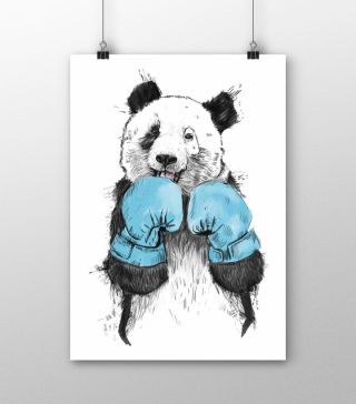 Постеры Панда-боксер