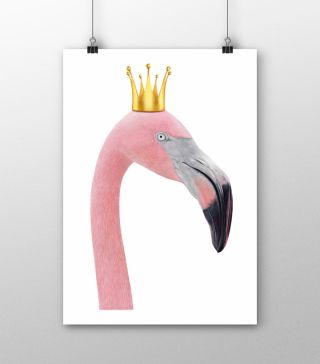 Постеры Королева-фламинго