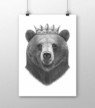 Постеры Король-медведь