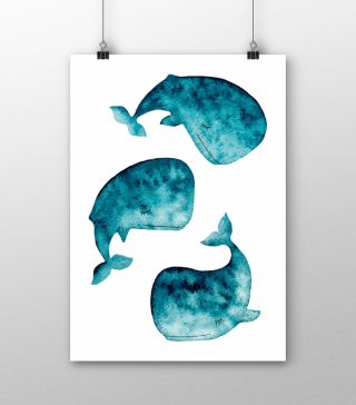 Постеры 3 кита