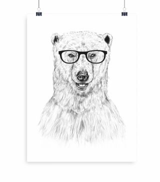 Постеры Geek Bear