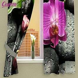 Фотоштора Сирень Фотошторы для кухни "Орхидея на камнях"