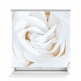 Шторы рулонные ролло Divino DelDecor Рулонная штора ролло термоблэкаут "Роза белая", 160 см