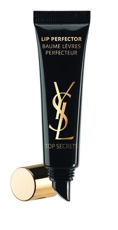 YSL Top Secrets Lip Perfector