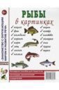 Рыбы в картинках. Наглядное пособие для педагогов, логопедов, воспитателей и родителей