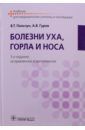 Гуров Александр Владимирович, Пальчун Владимир Тимофеевич Болезни уха, горла и носа. Учебник для студентов учреждений среднего профильного образования