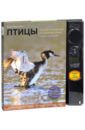 Митителло Ксения Борисовна Птицы. Водоплавающие и околоводные. Звуковая энциклопедия (поганка)