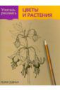 Сеймур Мэри Учитесь рисовать цветы и растения