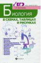 Шустанова Татьяна Анатольевна Биология в схемах, таблицах и рисунках. Учебное пособие