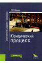 Мишко Роман Сергеевич Юридический процесс. Монография