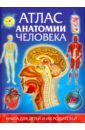 Гуиди Винченцо Атлас анатомии человека. Книга для детей и их родителей