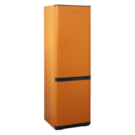 Холодильник БИРЮСА Б-T360NF, двухкамерный, оранжевый