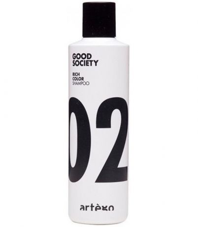 Artego Шампунь для Окрашенных Волос Rich Color Shampoo, 250 мл