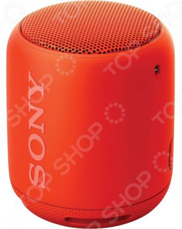 Система акустическая портативная Sony SRS-XB10