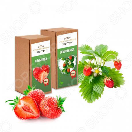 Набор для выращивания «Домашняя ягодница»