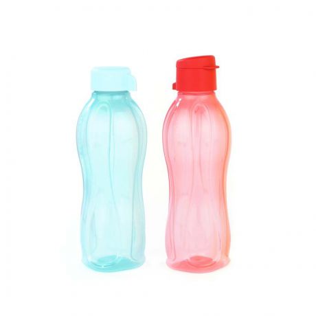 набор Эко-бутылкок с клапаном и винтовой крышкой (500 мл) 2 шт.