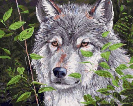 Картина по номерам (40х50) Волк в кустах GX28247