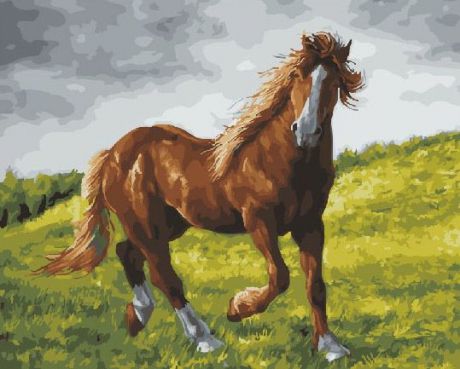 Картина по номерам ВанГогВоМне Красота лошади