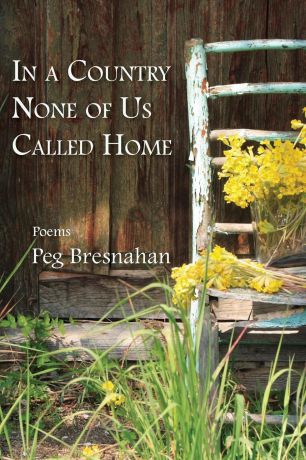 Peg Bresnahan In a Country None of Us Called Home
