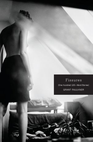 Grant Faulkner Fissures. One Hundred 100-Word Stories