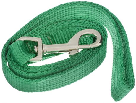 Поводок капроновый для собак "Аркон", цвет: зеленый, ширина 2 см, длина 1 м