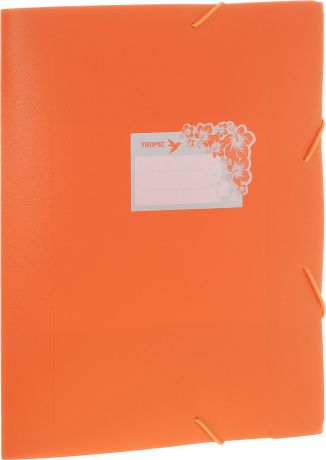 Бюрократ Папка-короб на резинке Tropic формат А4+ цвет оранжевый