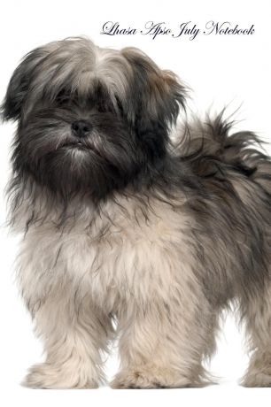 Lhasa World Lhasa Apso July Notebook Lhasa Apso Record, Log, Diary, Special Memories, To Do List, Academic Notepad, Scrapbook & More