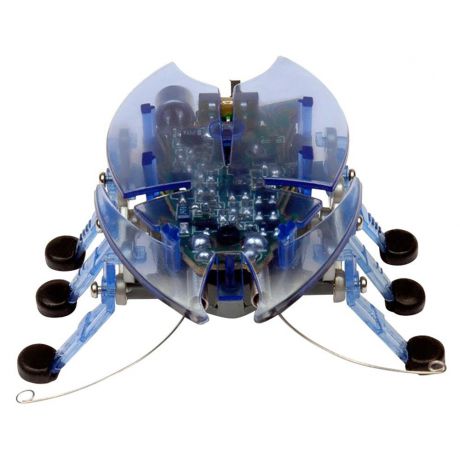 Игрушечный робот Hexbug "Жук-усач" голубой