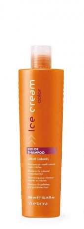 Шампунь Inebrya Color Shampoo Color для окрашенных и мелированных волос, 300 мл