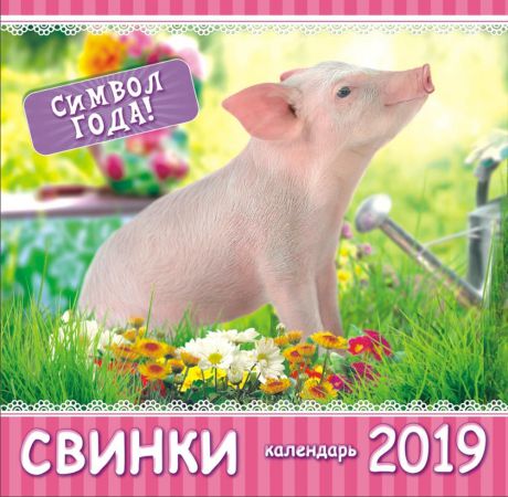 Календарь на 2019 год (на скрепке). Свинка в саду