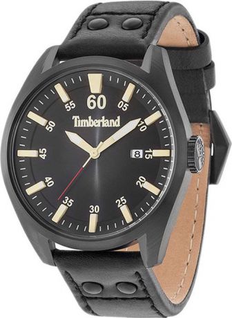 Часы наручные мужские Timberland, цвет: черный. TBL.15025JSB/02
