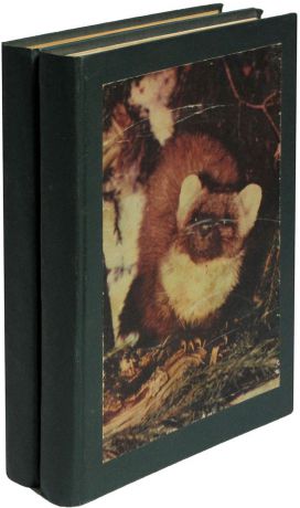 Журнал "Юный натуралист". Годовой комплект за 1976 год (2 конволюта из 12 журналов)