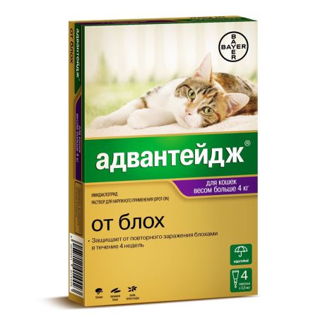 Bayer Golden Line Адвантейдж 80К Капли для котят и кошек от блох, вшей, власоедов (массой более 4 кг) (4 пипетки)