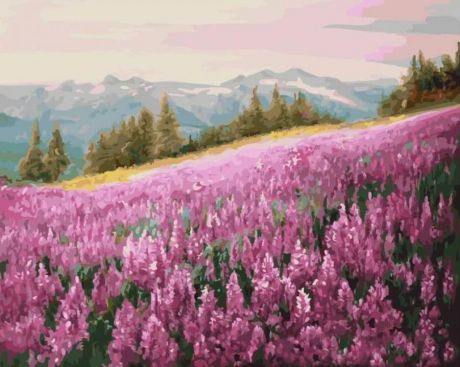 Картина по номерам Цветной "Розовое поле" 40х50см