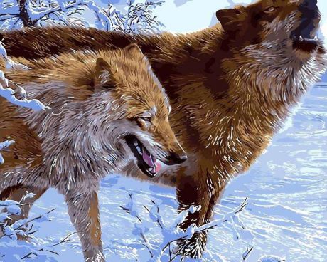 Картина по номерам Цветной "Зимние волки" 40х50см