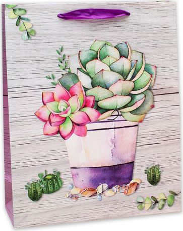 Подарочная упаковка Dream Cards "Кактус с розовым цветком", 26,4 х 32,7 х 13,6 см
