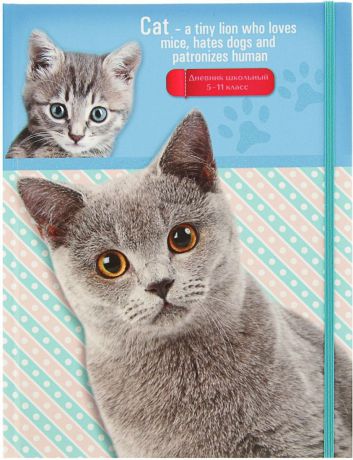 Проф-Пресс Дневник школьный Кот и котенок для 5-11 классов