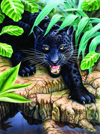 Royal & Langnickel Картина по номерам Черный леопард