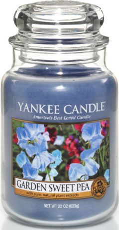 Ароматическая свеча Yankee Candle "Душистый горошек / Garden Sweet Pea", 110-150 ч