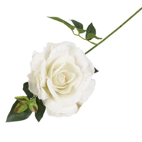 Искусственные цветы "Роза Верди", 2337965, белый, 55 см