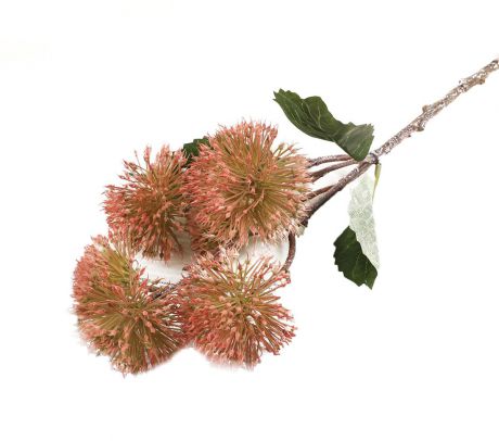 Искусственные цветы "Распустившийся гемантус", 3544406, розовый, 50 см