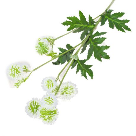 Искусственные цветы "Ветка гемантуса", 3797181, белый, 60 см