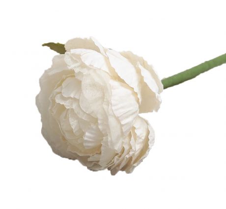 Искусственные цветы "Азиатский лютик", 3257315, белый, 25 см