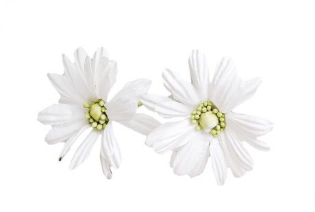 Искусственные цветы "Азиатские ромашки", 3257347, белый, 42 см