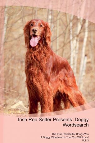 Doggy Puzzles Irish Red Setter Presents. Doggy Wordsearch The Irish Red Setter Brings You A Doggy Wordsearch That You Will Love! Vol. 3
