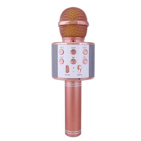 Микрофон WSTER WS-858
