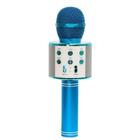 Микрофон WSTER WS-858