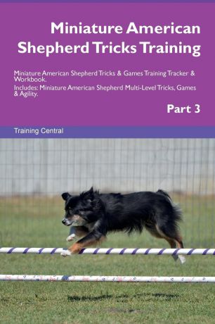 Training Central Miniature American Shepherd Tricks Training Miniature American Shepherd Tricks & Games Training Tracker & Workbook. Includes. Miniature American Shepherd Multi-Level Tricks, Games & Agility. Part 3